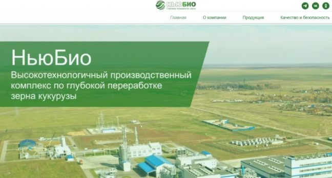 Разработка сайта НЬЮ бИО